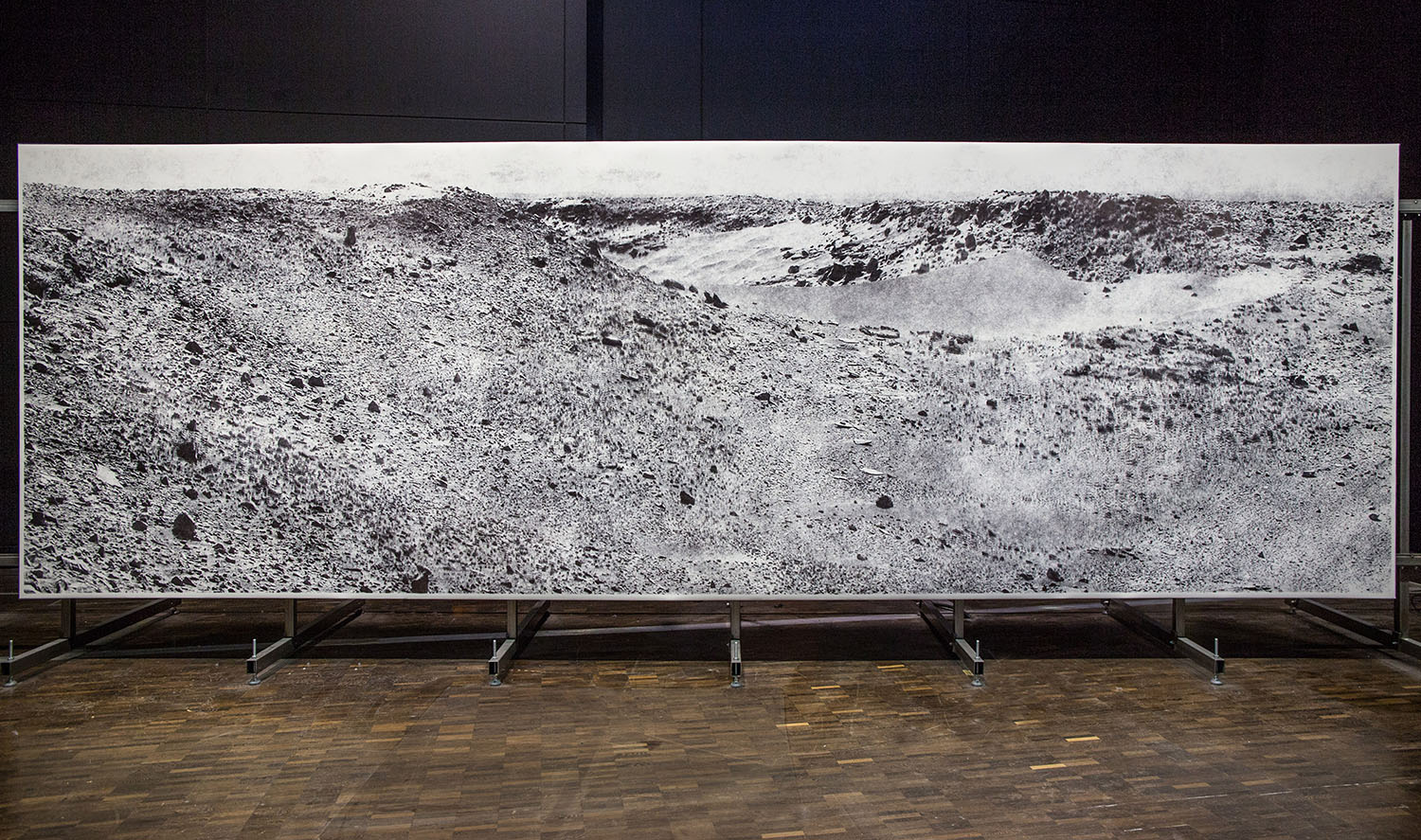 the big picture (2014)