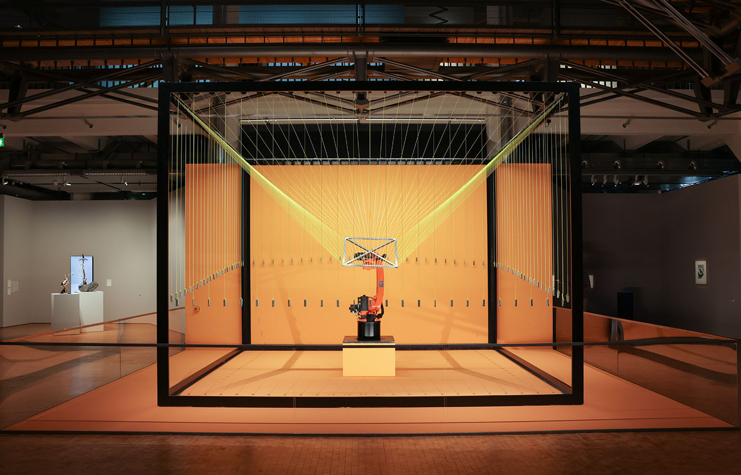 desire lines (2026)